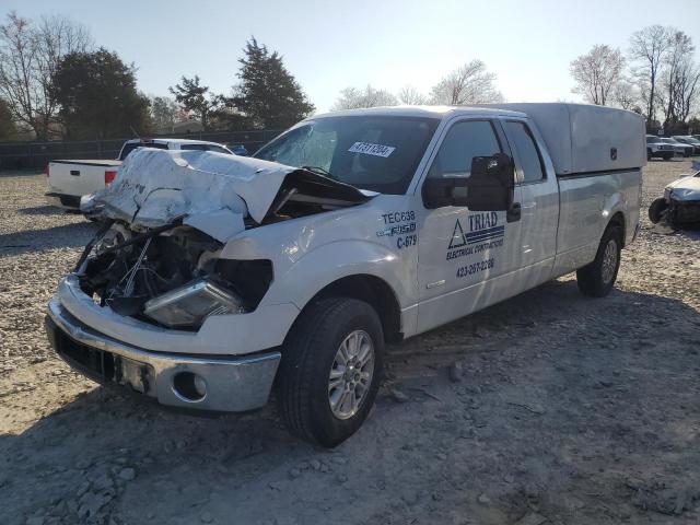 1FTVX1CT6EKD34011 - 2014 FORD F150 SUPER CAB WHITE photo 1