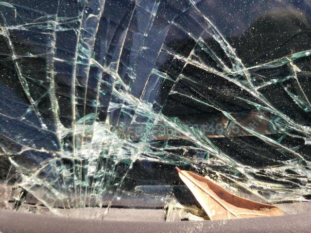 19XFB2F96FE014975 - 2015 HONDA CIVIC EXL ნაცრისფერი ფოტო 12