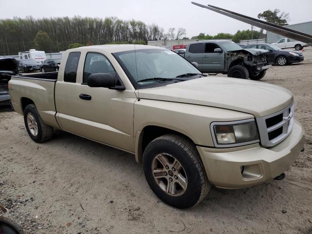 1D7RW3BKXBS666950 - 2011 DODGE DAKOTA SLT GOLD photo 4