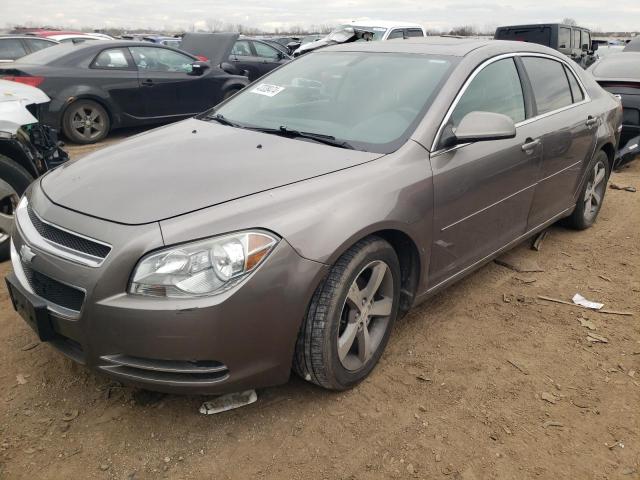 1G1ZC5E15BF342288 - 2011 CHEVROLET MALIBU 1LT GRAY photo 1