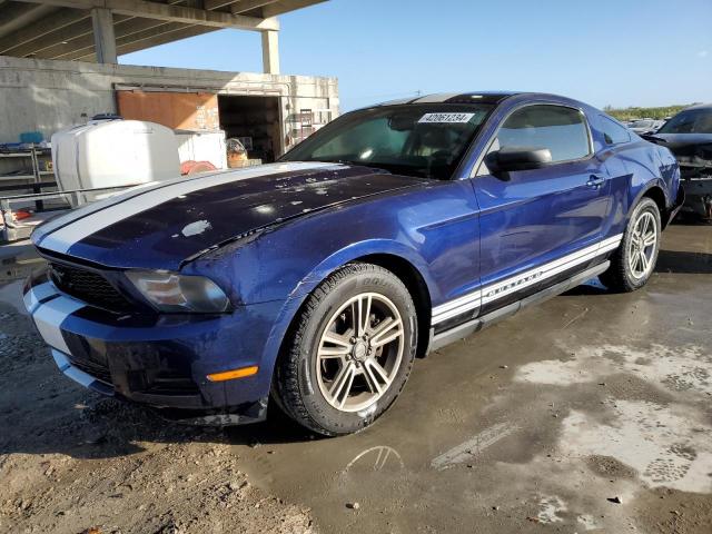 1ZVBP8AN7A5170659 - 2010 FORD MUSTANG BLUE photo 1
