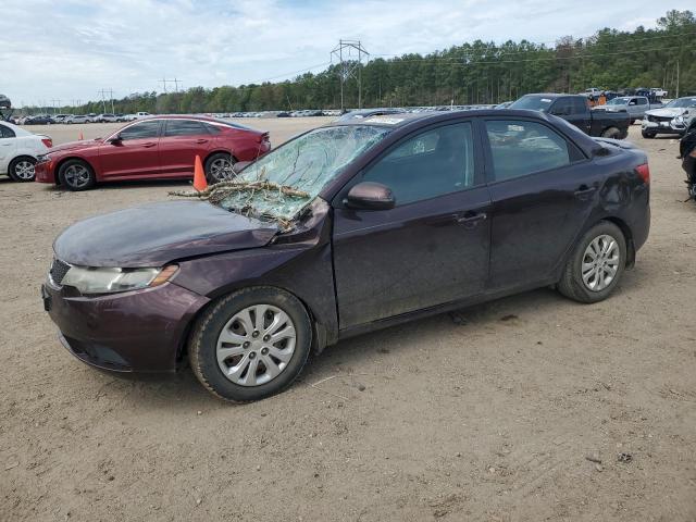 KNAFU4A21B5443766 - 2011 KIA FORTE EX BURGUNDY photo 1