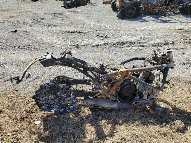 JKAENED13RDA33293 - 2024 KAWASAKI EN650 D BEIGE photo 1