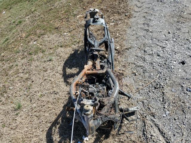 JKAENED13RDA33293 - 2024 KAWASAKI EN650 D BEIGE photo 5