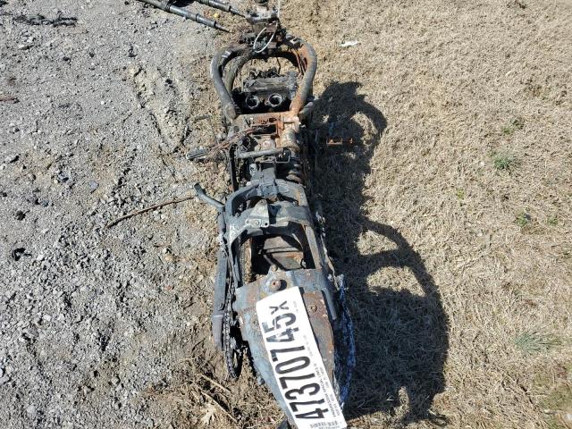 JKAENED13RDA33293 - 2024 KAWASAKI EN650 D BEIGE photo 6