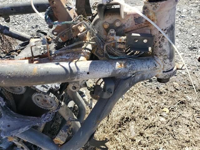 JKAENED13RDA33293 - 2024 KAWASAKI EN650 D BEIGE photo 9