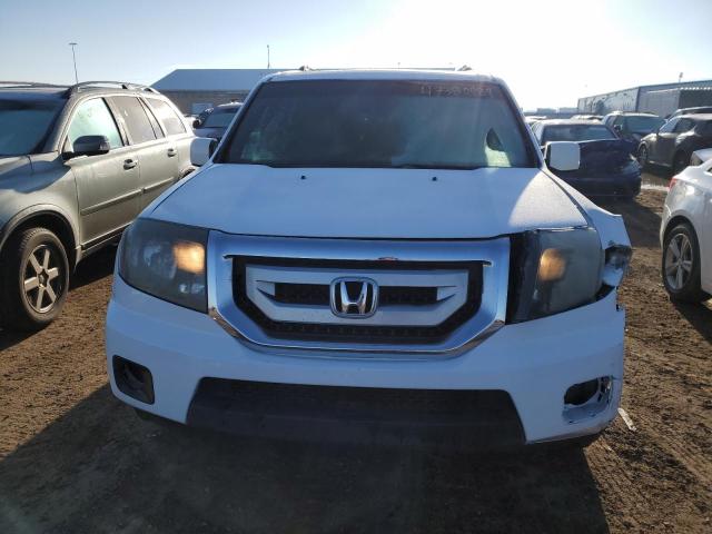 5FNYF4H51AB002559 - 2010 HONDA PILOT EXL WHITE photo 5