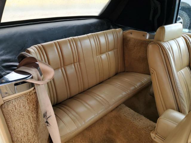 1C3BC45B6CG185348 - 1982 CHRYSLER LEBARON 米色 照片 10