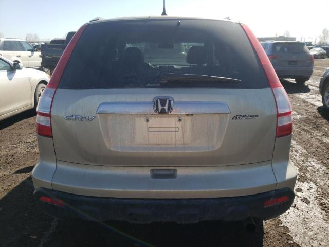 5J6RE48769L800941 - 2009 HONDA CR-V EXL GOLD photo 6