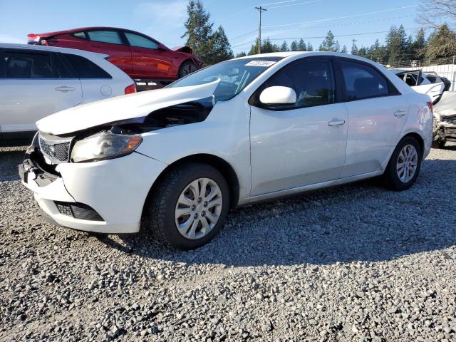 KNAFT4A24C5487829 - 2012 KIA FORTE LX WHITE photo 1