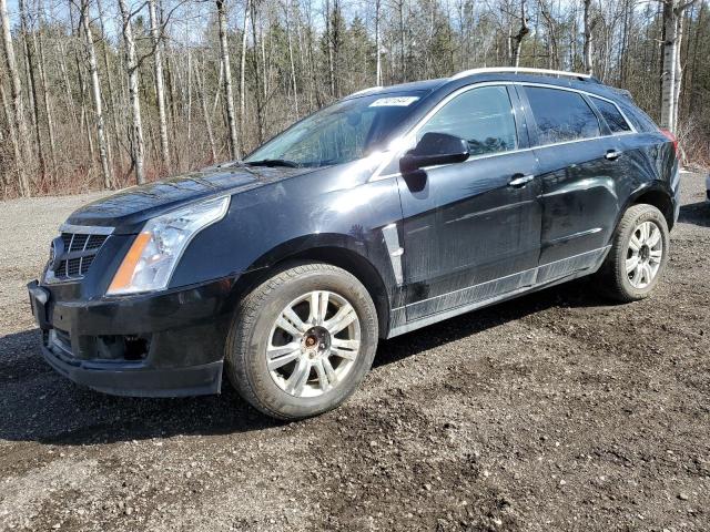 3GYFNDEYXAS515707 - 2010 CADILLAC SRX LUXURY COLLECTION BLACK photo 1