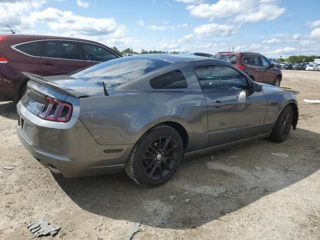 1ZVBP8AM9E5217171 - 2014 FORD MUSTANG GRAY photo 3