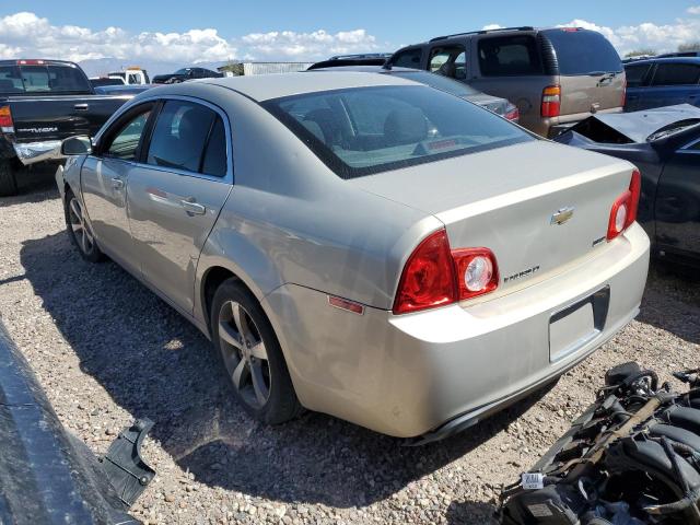 1G1ZC5EU4BF359464 - 2011 CHEVROLET MALIBU 1LT 棕色 照片 2