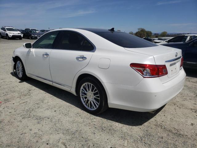 JTHBK1EG1B2462247 - 2011 LEXUS ES 350 WHITE photo 2