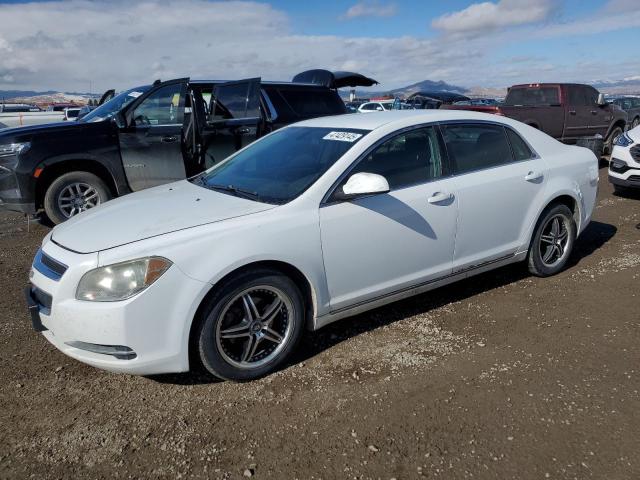 1G1ZC5E08AF178086 - 2010 CHEVROLET MALIBU 1LT WHITE photo 1
