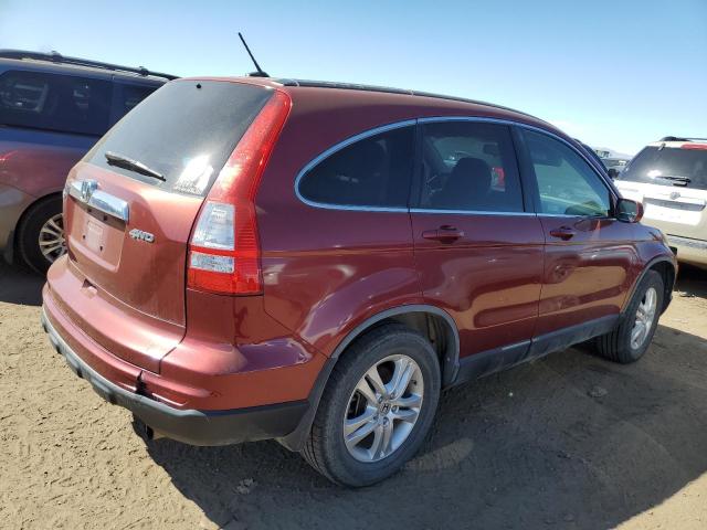 JHLRE4H71AC003025 - 2010 HONDA CR-V EXL RED photo 3