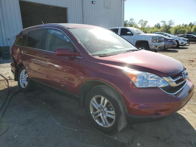 5J6RE3H72BL008012 - 2011 HONDA CR-V EXL BURGUNDY photo 4