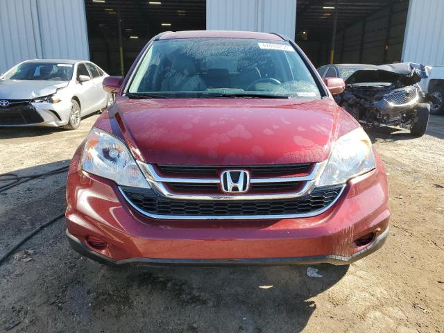 5J6RE3H72BL008012 - 2011 HONDA CR-V EXL BURGUNDY photo 5