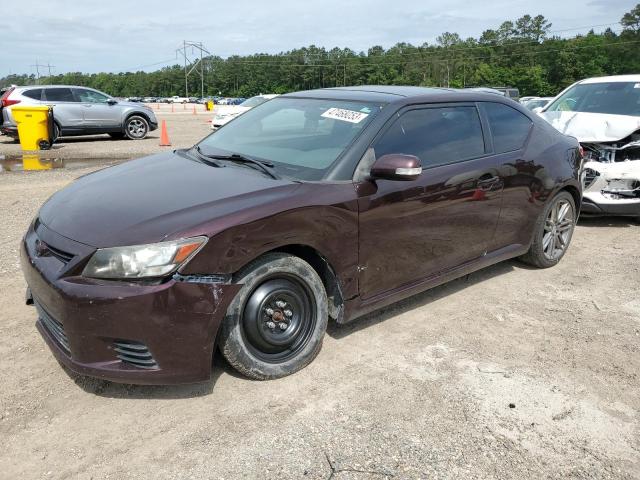 JTKJF5C76C3035677 - 2012 TOYOTA SCION TC MAROON photo 1