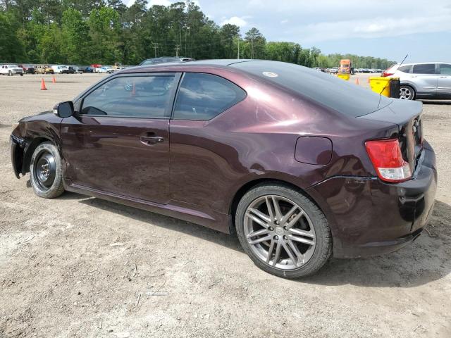 JTKJF5C76C3035677 - 2012 TOYOTA SCION TC MAROON photo 2