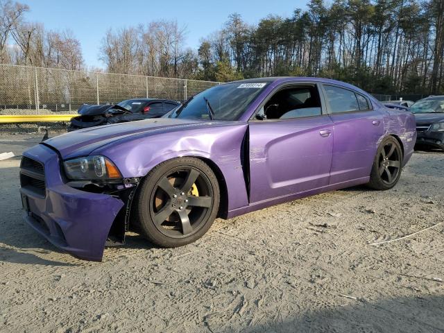 2C3CDXCT1EH137794 - 2014 DODGE CHARGER R/T PURPLE photo 1