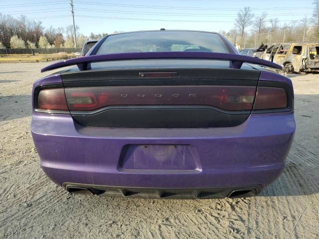 2C3CDXCT1EH137794 - 2014 DODGE CHARGER R/T PURPLE photo 6