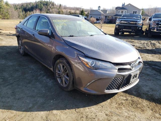 4T1BF1FK1HU793556 - 2017 TOYOTA CAMRY LE GRAY photo 4