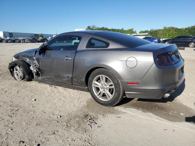 1ZVBP8AM9E5282991 - 2014 FORD MUSTANG GRAY photo 2