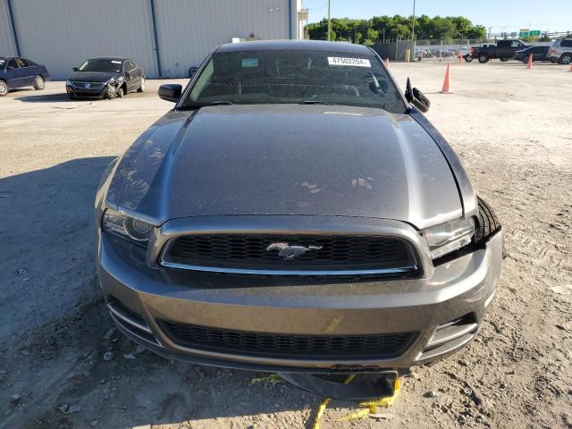 1ZVBP8AM9E5282991 - 2014 FORD MUSTANG GRAY photo 5