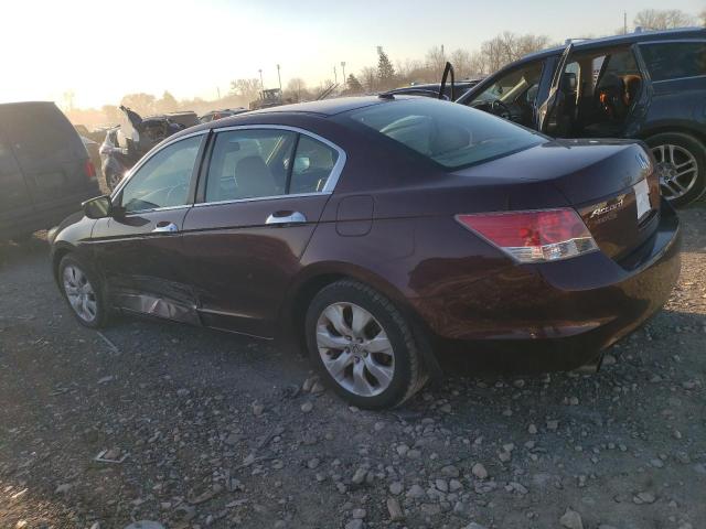 5KBCP3F85AB018036 - 2010 HONDA ACCORD EXL BURGUNDY photo 2