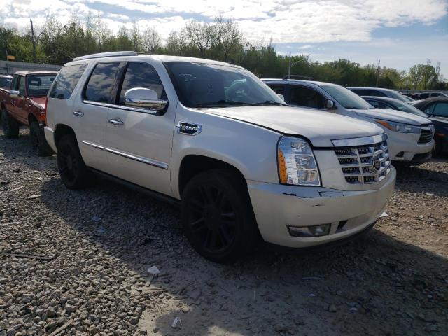 1GYFK43559R135089 - 2009 CADILLAC ESCALADE HYBRID CREAM photo 4