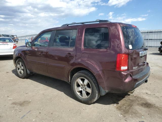 5FNYF4H53BB018747 - 2011 HONDA PILOT EXL BURGUNDY photo 2