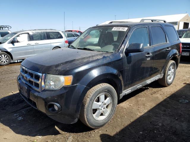 2012 FORD ESCAPE XLT, 