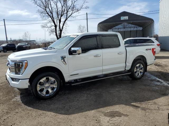 1FTFW1ED9PFA89746 - 2023 FORD F150 SUPERCREW WHITE photo 1