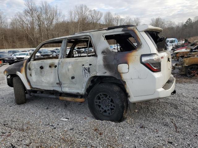 JTENU5JR6R6251146 - 2024 TOYOTA 4RUNNER SR5/SR5 PREMIUM BURN photo 2