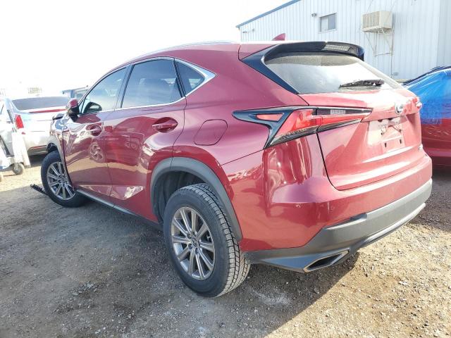 JTJYARBZ1K2150655 - 2019 LEXUS NX 300 BASE 红色 照片 2