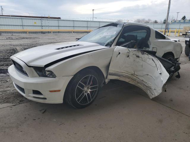 1ZVBP8CFXD5213501 - 2013 FORD MUSTANG GT WHITE photo 1