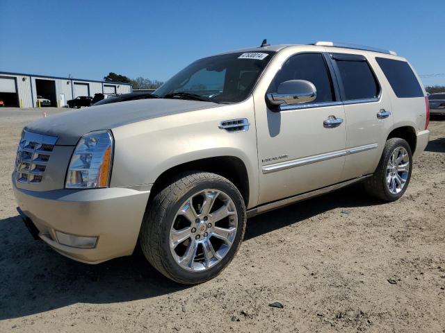 2010 CADILLAC ESCALADE PREMIUM, 