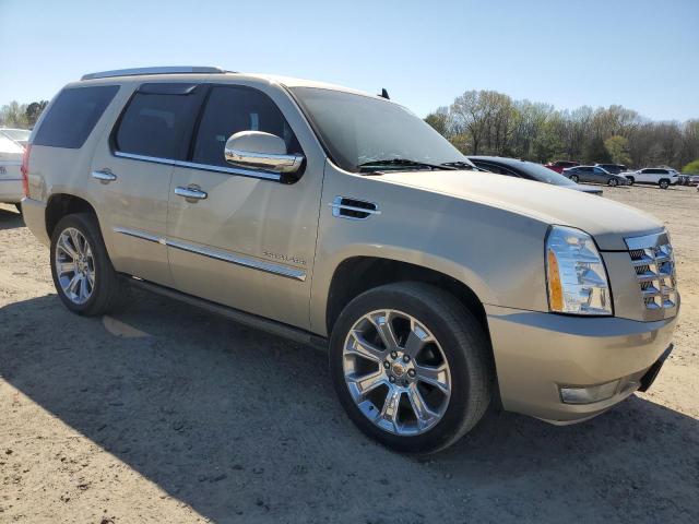 1GYUKCEF9AR264626 - 2010 CADILLAC ESCALADE PREMIUM GOLD photo 4