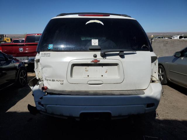 1GNDT13S772293395 - 2007 CHEVROLET TRAILBLAZE LS WHITE photo 6