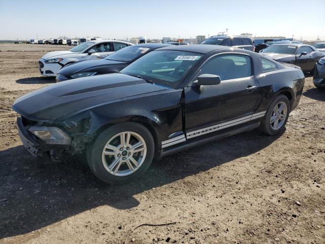 2010 FORD MUSTANG, 