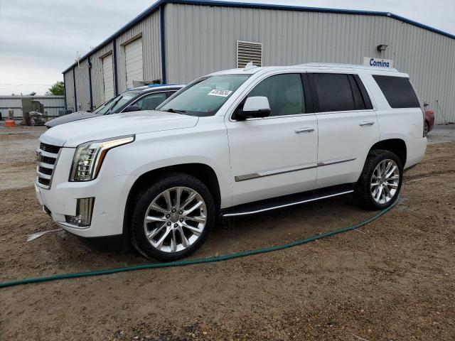 1GYS4BKJ2KR207366 - 2019 CADILLAC ESCALADE LUXURY WHITE photo 1