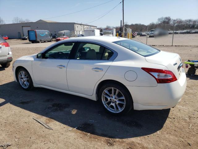 1N4AA5AP8AC805535 - 2010 NISSAN MAXIMA S WHITE photo 2