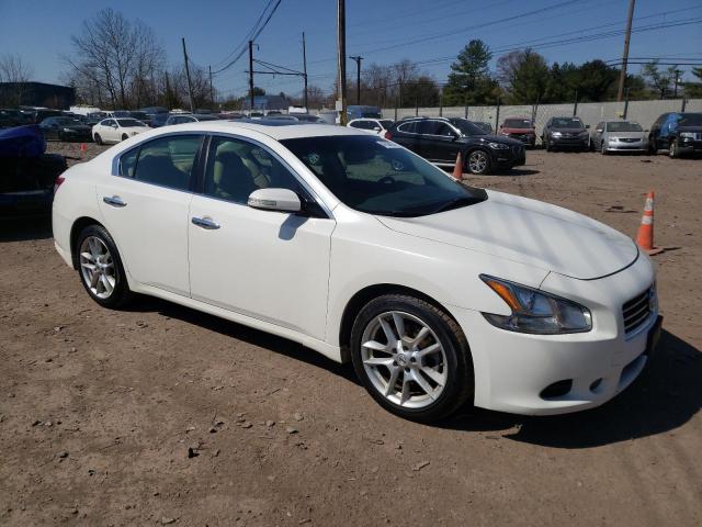 1N4AA5AP8AC805535 - 2010 NISSAN MAXIMA S WHITE photo 4