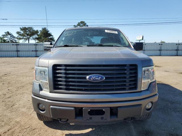 1FTFW1EFXEKF16471 - 2014 FORD F150 SUPERCREW GRAY photo 5