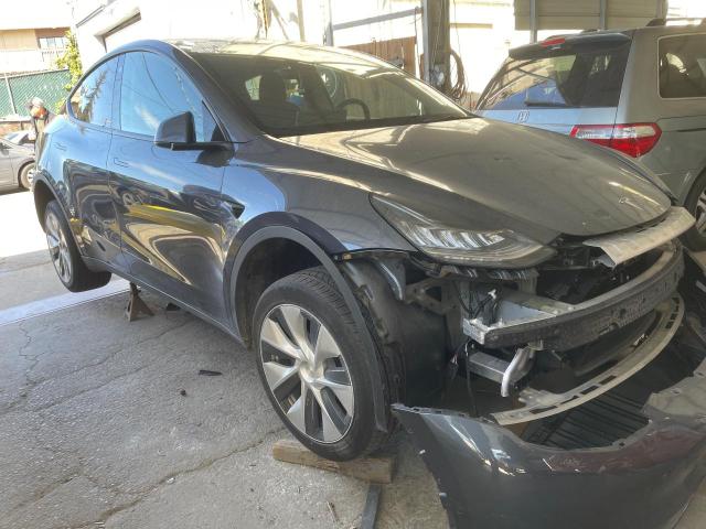 7SAYGDEE2NF359386 - 2022 TESLA MODEL Y رمادي صورة 1