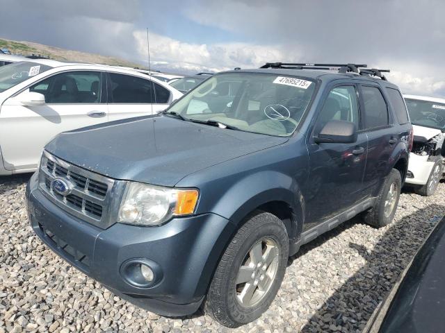 2010 FORD ESCAPE XLT, 