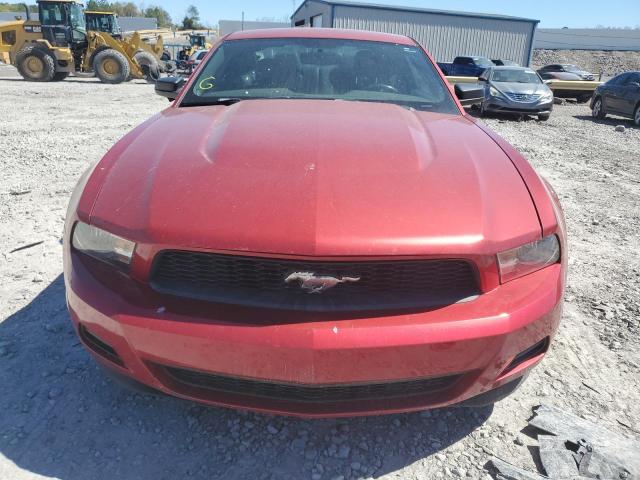 1ZVBP8AM7B5166118 - 2011 FORD MUSTANG RED photo 5