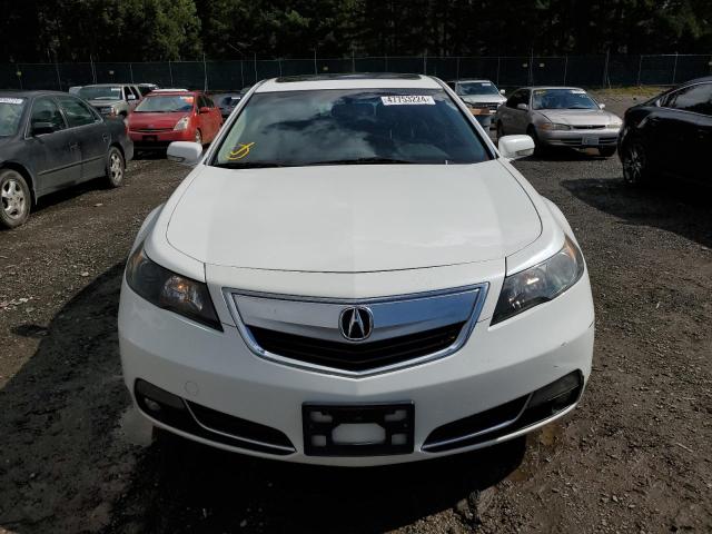 19UUA8F21CA026421 - 2012 ACURA TL WHITE photo 5