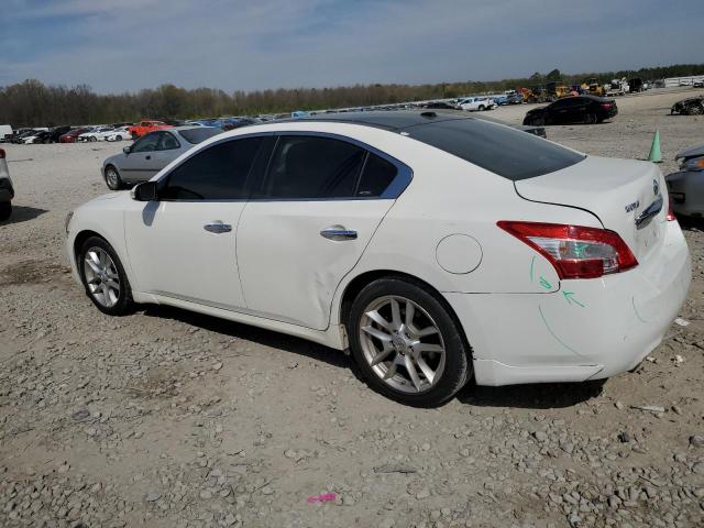 1N4AA5AP7BC837703 - 2011 NISSAN MAXIMA S WHITE photo 2